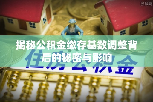 万秀揭秘公积金缴存基数调整背后的秘密与影响