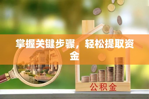 万秀掌握关键步骤，轻松提取资金