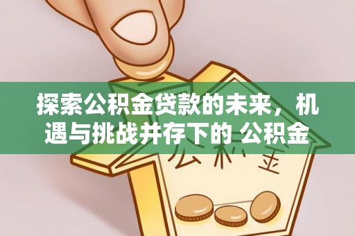 万秀探索公积金贷款的未来，机遇与挑战并存下的 公积金贷款风险防控