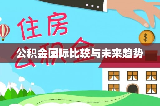 万秀公积金国际比较与未来趋势