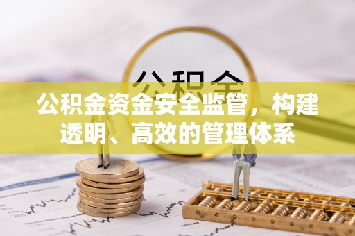 万秀公积金资金安全监管，构建透明、高效的管理体系