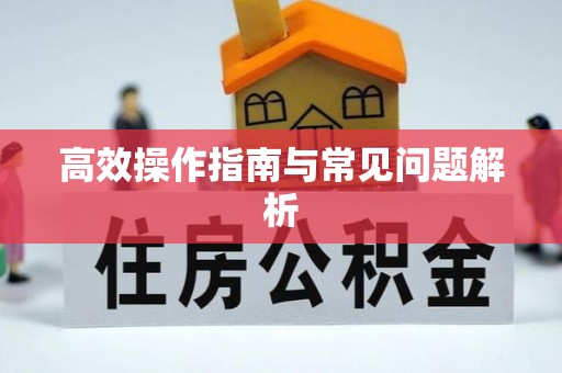 万秀高效操作指南与常见问题解析