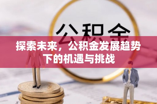 万秀探索未来，公积金发展趋势下的机遇与挑战
