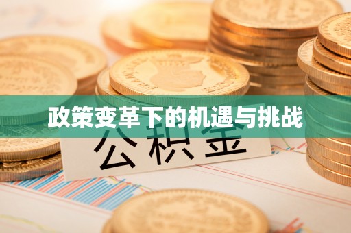 万秀政策变革下的机遇与挑战