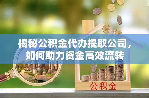万秀揭秘公积金代办提取公司，如何助力资金高效流转