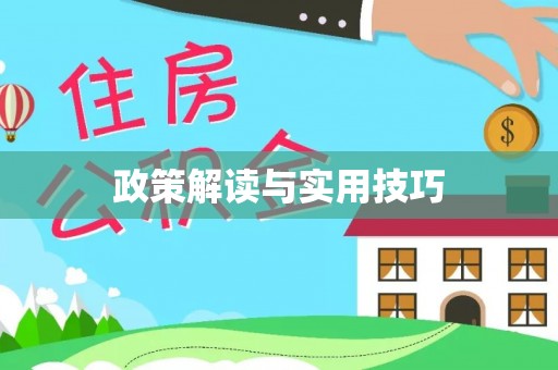 万秀政策解读与实用技巧