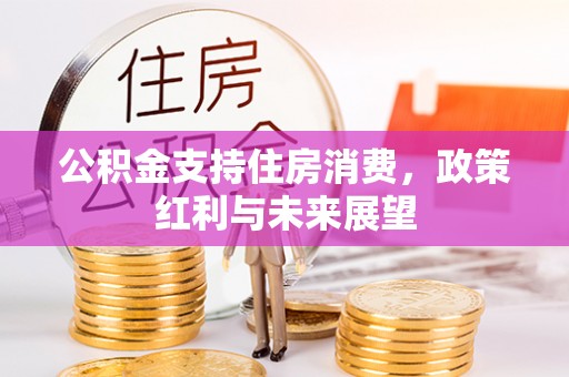 万秀公积金支持住房消费，政策红利与未来展望