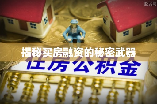 万秀揭秘买房融资的秘密武器