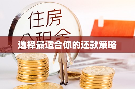 万秀选择最适合你的还款策略